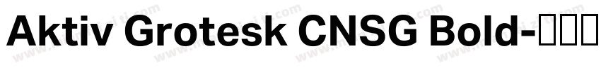 Aktiv Grotesk CNSG Bold字体转换